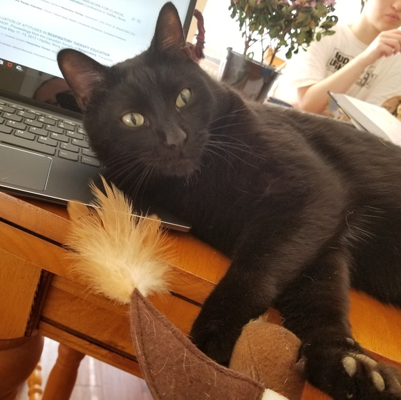 Meet your Posher, Kimberly - Picture 1 of 1